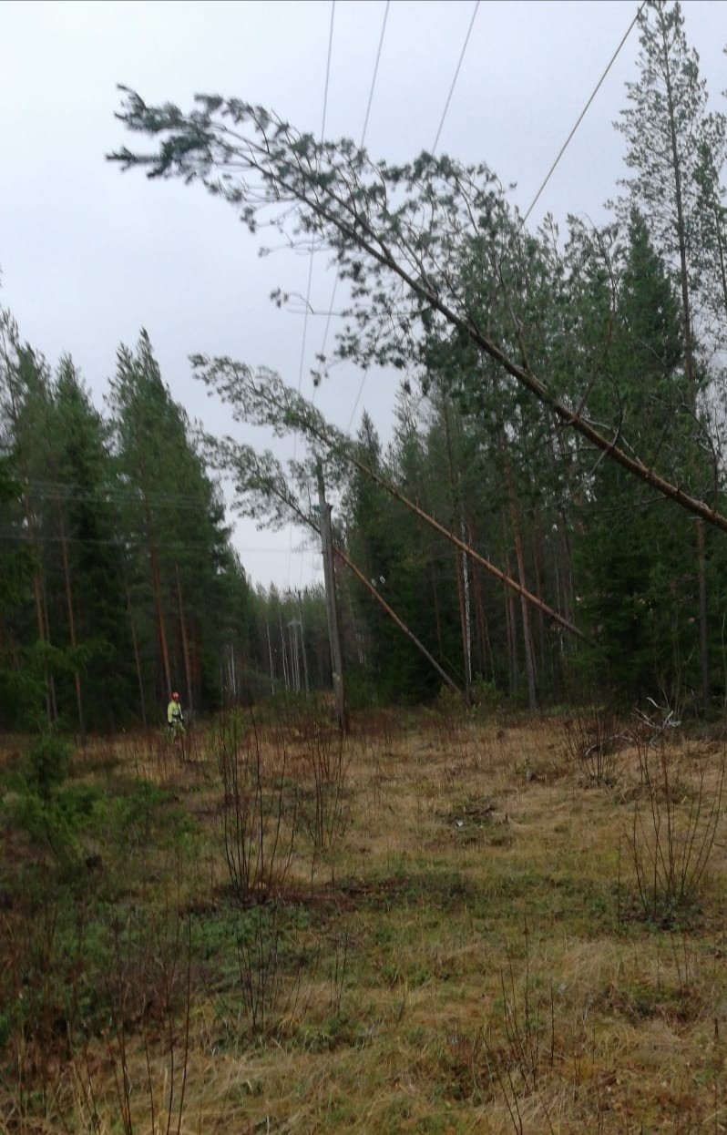 Alueellamme on myrskystä johtuvia sähkökatkoja