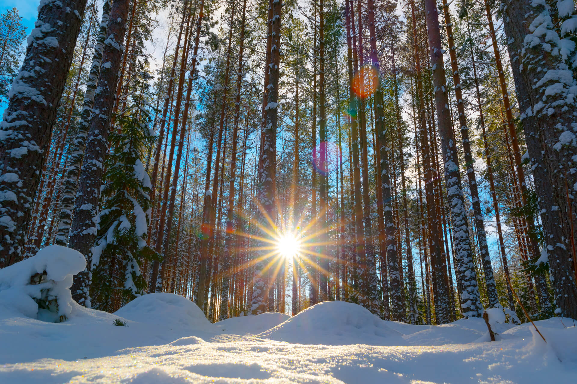 Kaupunkiympäristössä toimivien energia-alan yritysten yhteinen kannanotto 4.3.2022